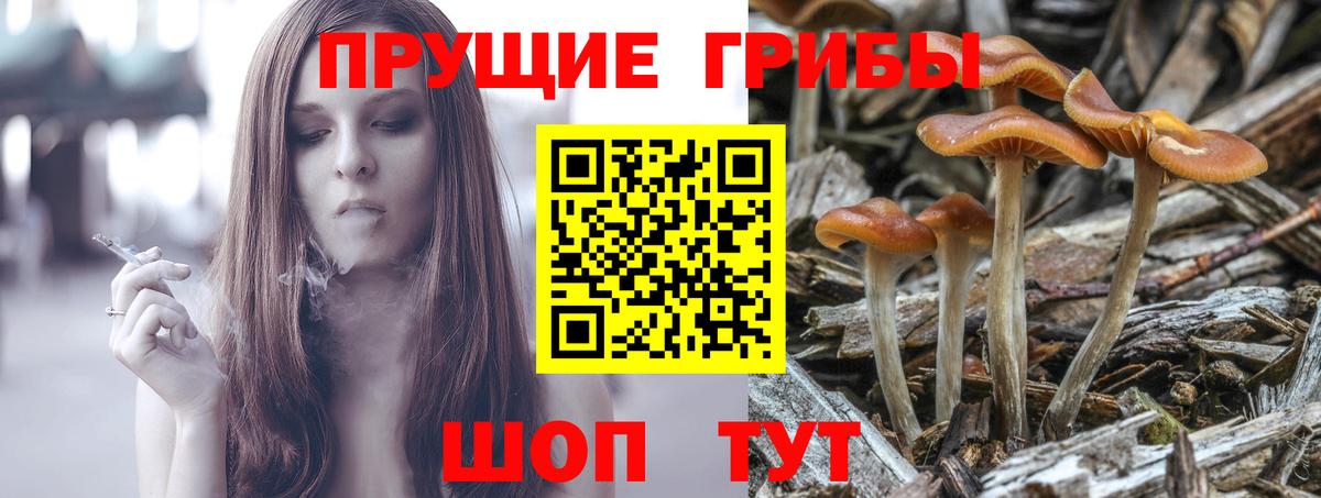 Галлюциногенные грибы мицелий Вязьма