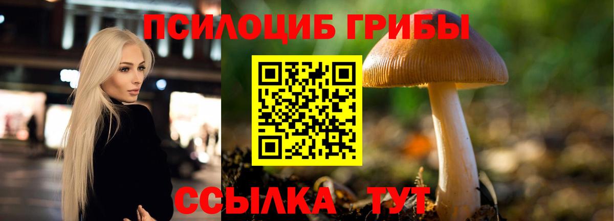 Галлюциногенные грибы прущие грибы  Галлюциногенные грибы ЛСД  купить наркоту  Вход с VPN  Вязьма 